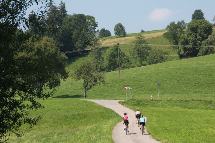 Am Gießbach bei Wangen