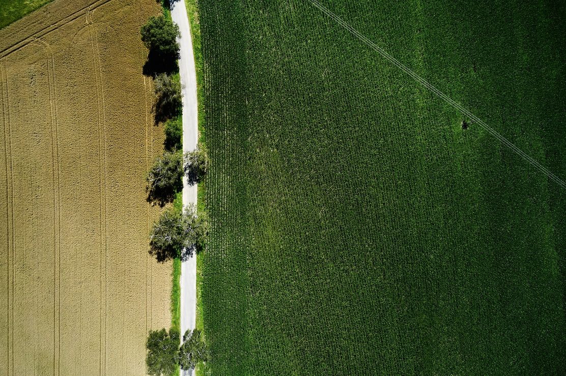 Glückswege - Erkheim - Glücksbaum-Pfad - Wald atmen
