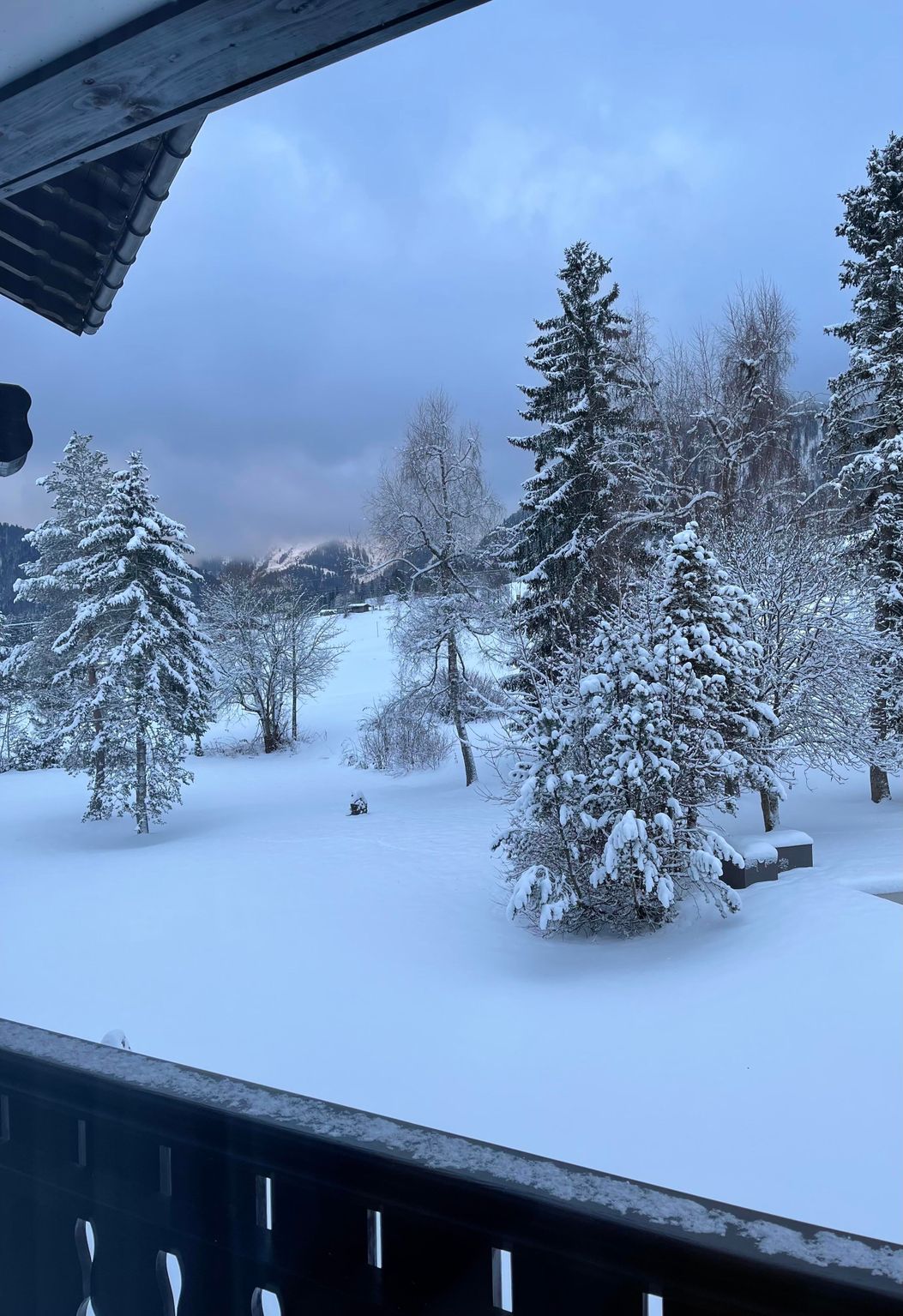 Aussicht Doppelzimmer Deluxe Garten