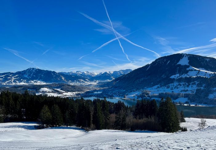 Blick auf den winterlichen Alpsee