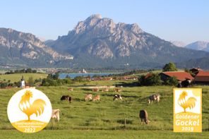Goldener Gockel 2019 und 2022 Wohlfühlatmosphäre