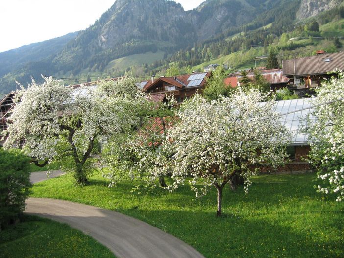 Frühjahr