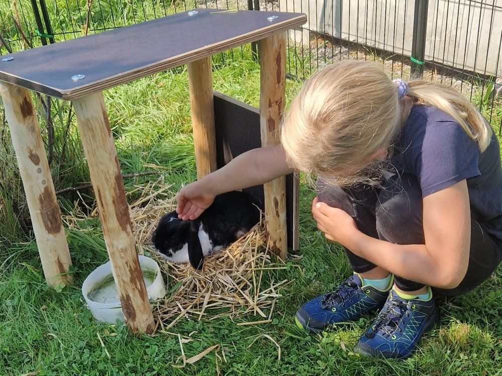 Kuscheln mit den Hasen