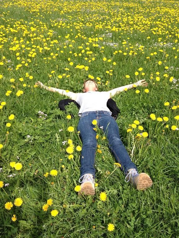 Löwenzahnfrühling