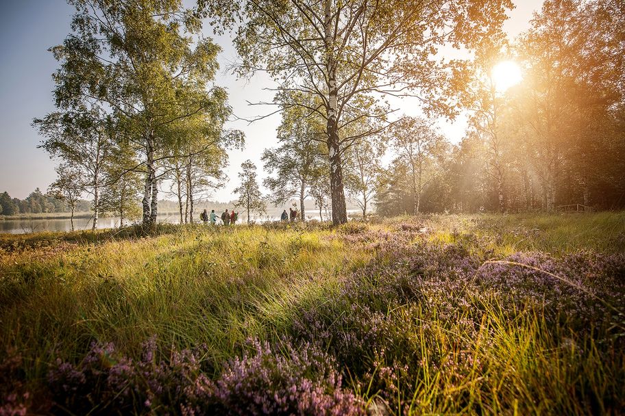 Abstecher ins Wurzacher Ried