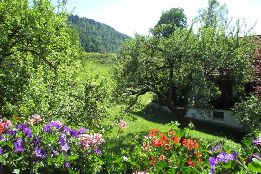 Ausblick vom Balkon