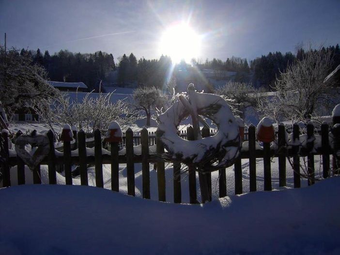 Garten im Winter