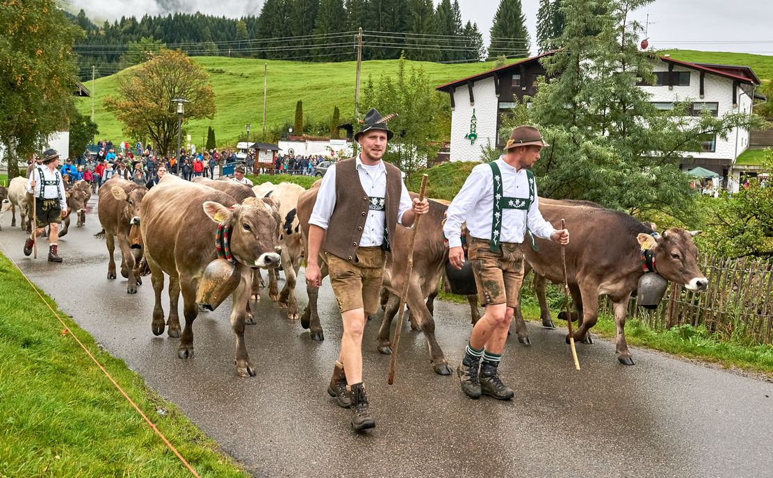 Meurers_Herbst_2017_0184