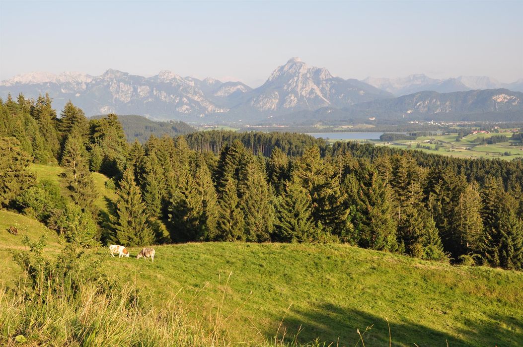 Wanderung Alpe Beichelstein