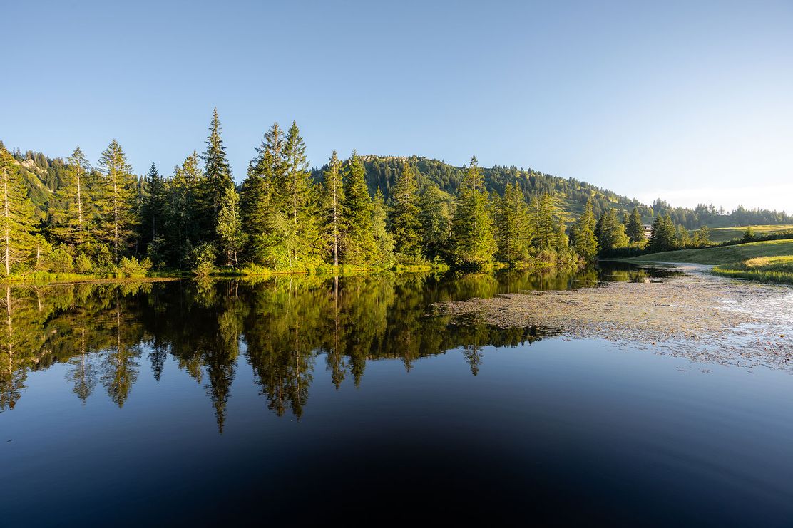 Das Hochmoor entdecken