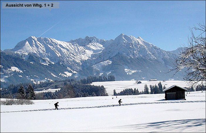 Traumaussicht zur Loipe vor dem Haus