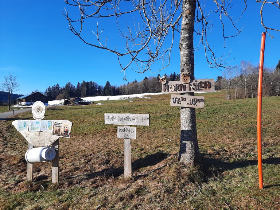 Hornmilch bei Familie Dornach, Buchenberg Kenels