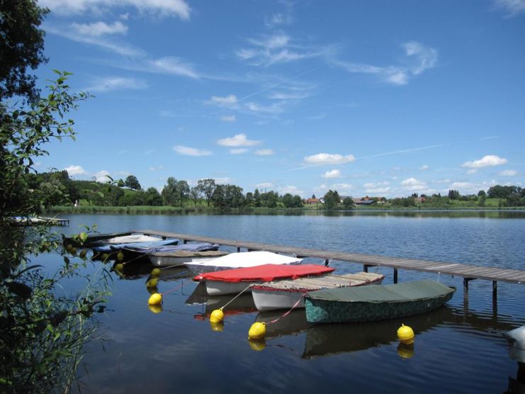 Metzisweiler Weiher