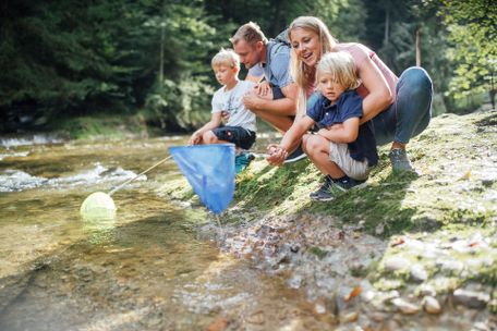 Westallgäuer Wasserweg am Eistobel