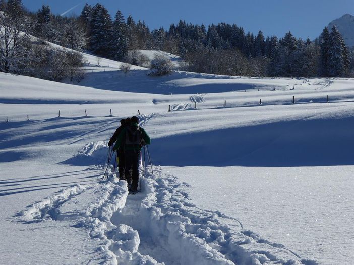 Schneeschuhwanderung