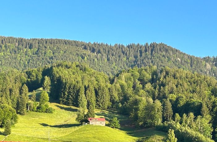 Aussicht 1