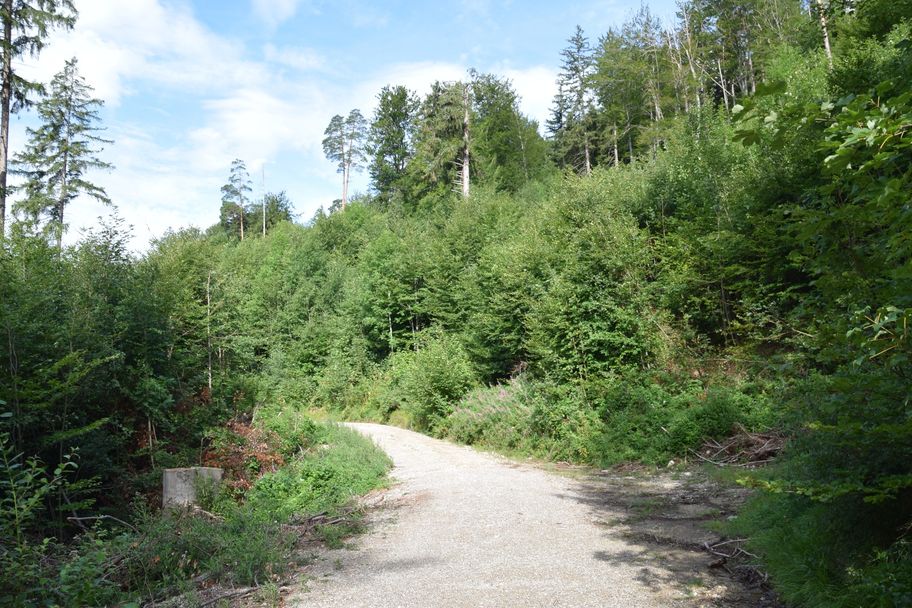 Schotterweg zum Erlebnisspielplatz