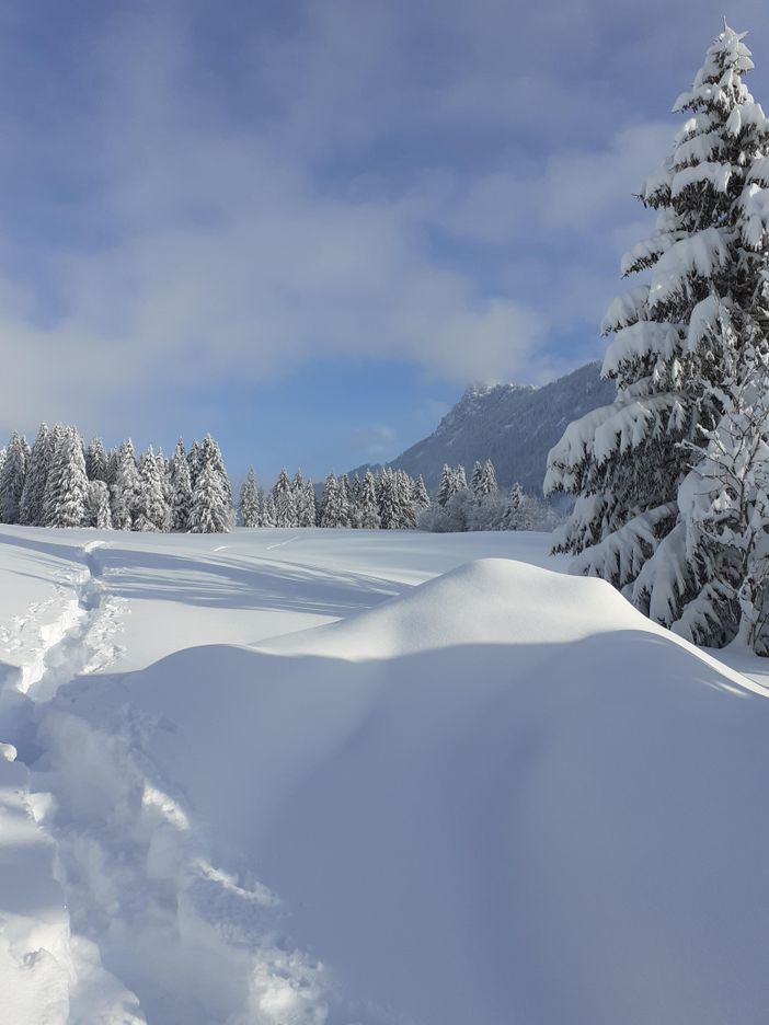Winterlich