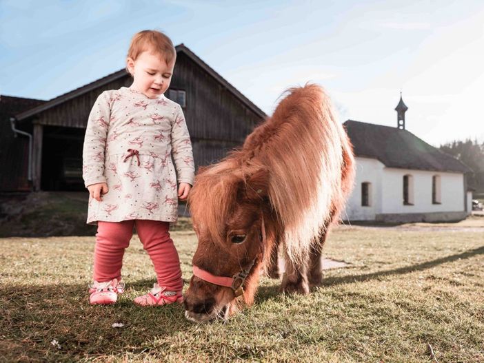 Ponyreiten