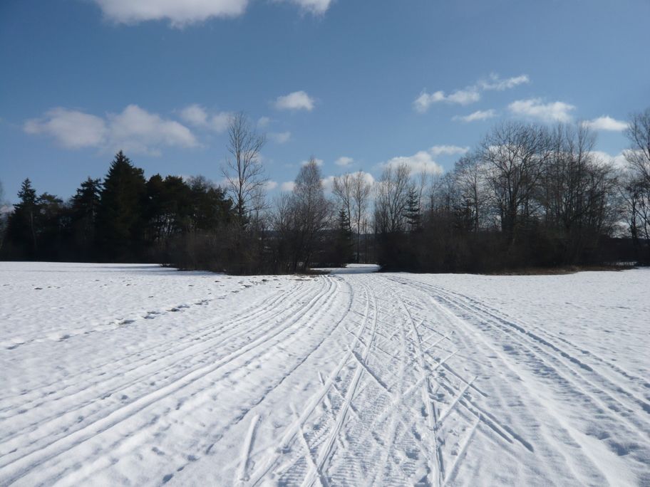 In der Moosloipe zwischen Wildpoldsried und Betzigau