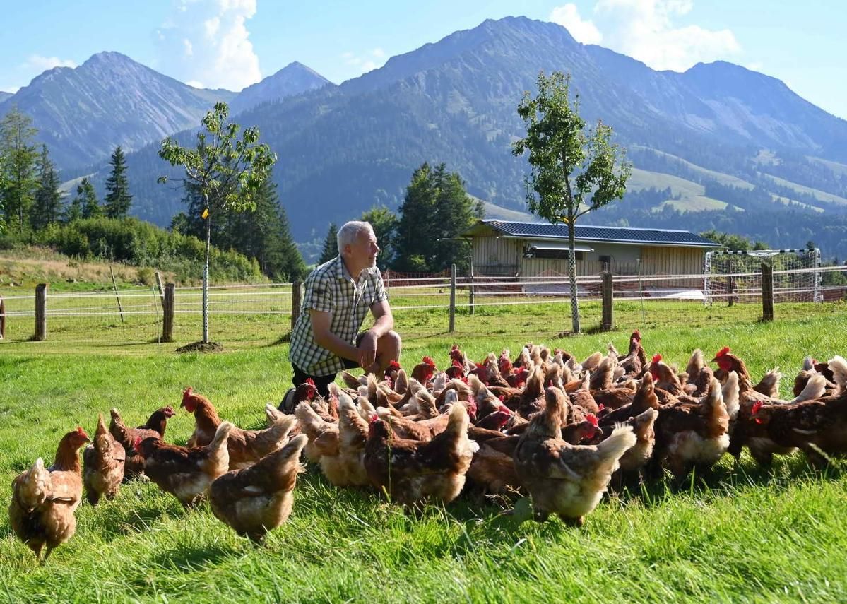 was machen wir heute?