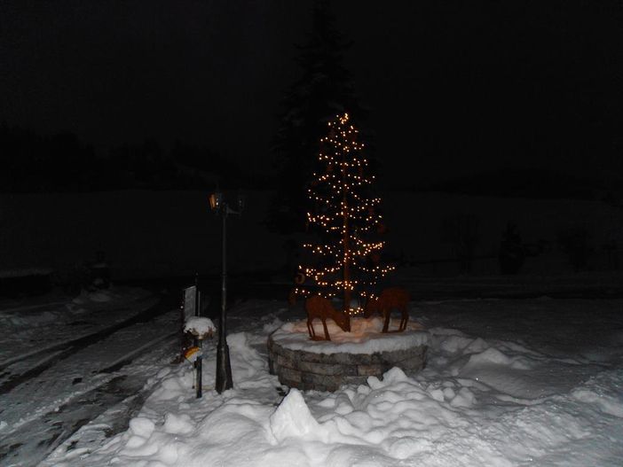 Weihnachtsbaum