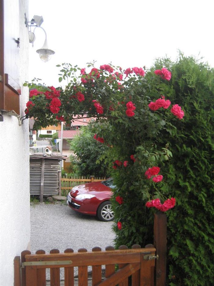 Tor zum Garten