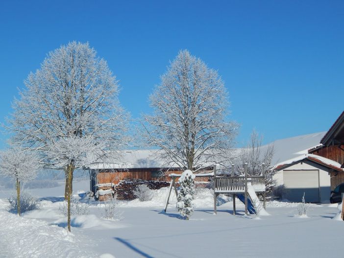 Eiskalt, egal Schneemann bauen und rodeln macht trotzdem Spaß