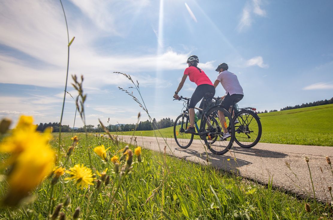 Radfahren inmitten von Natur im Landkreis Lindau (Bodensee)