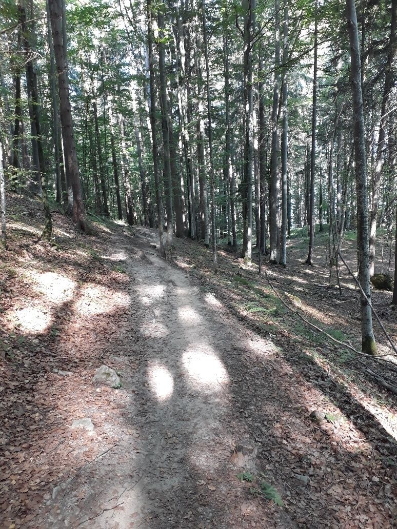 Waldweg zum Weißensee