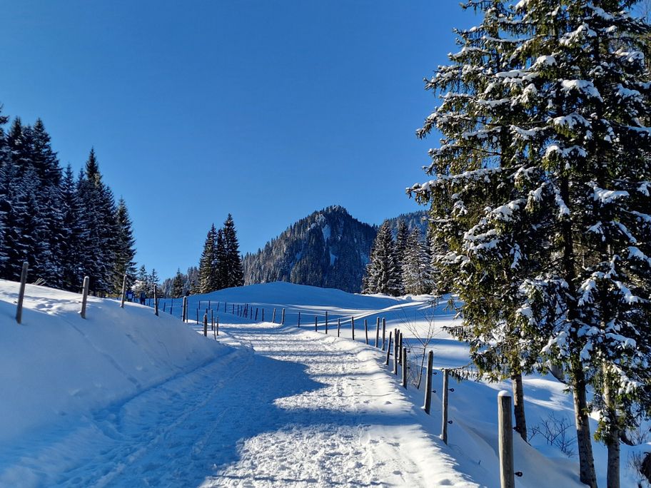 Auf dem Weg Richtung Alpe Rappengschwend