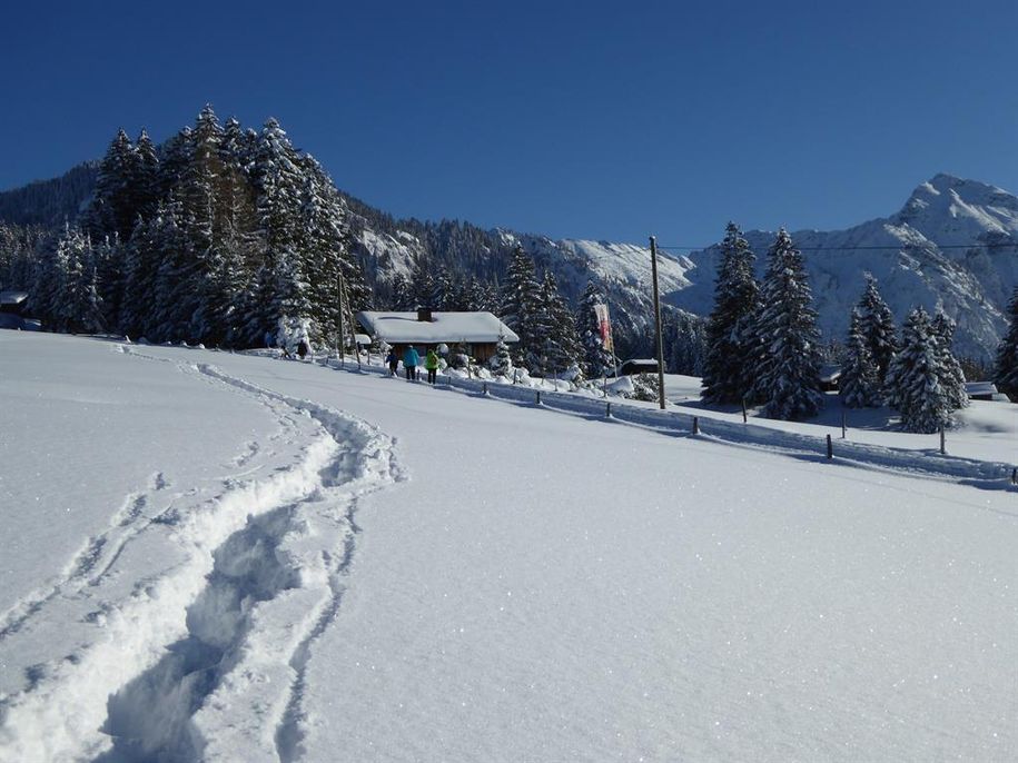 Schneeschuhwanderung