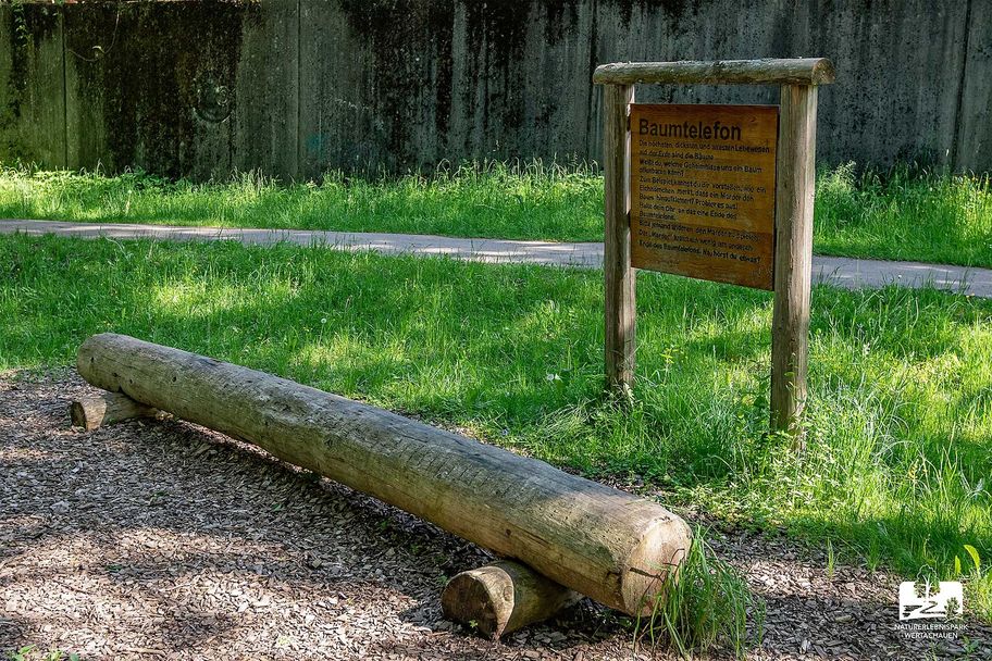 Baumtelefon