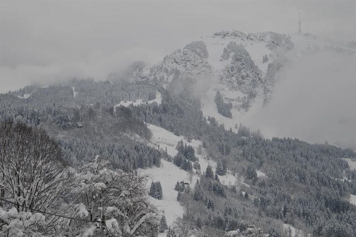 Ausblick
