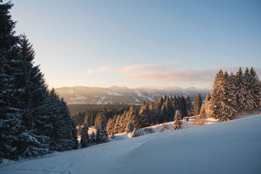 Ausblick vom Alpkönigblick auf die Nagelfluhkette
