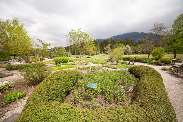 Kräutergarten im Kurpark in Fischen