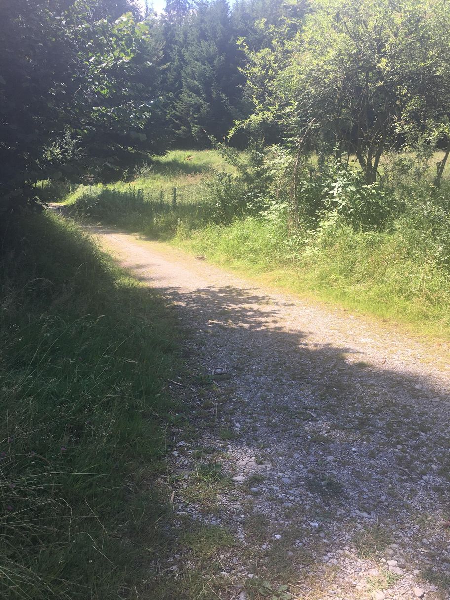 Nach der Mangmühle in Richtung Tiefentalbrücke