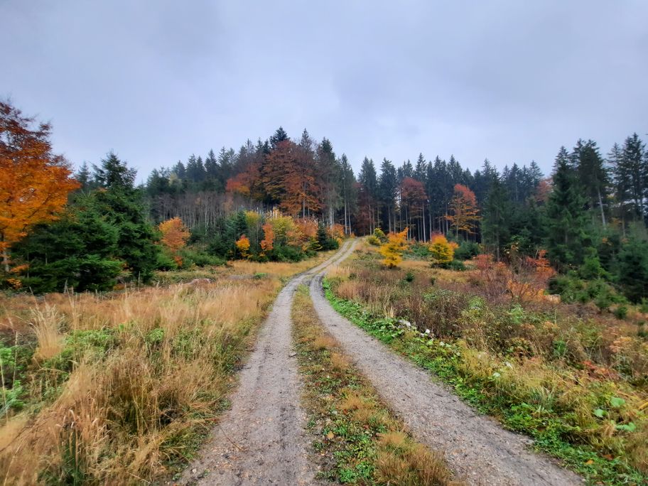 Burenweg Sibratshofen - Weitnau