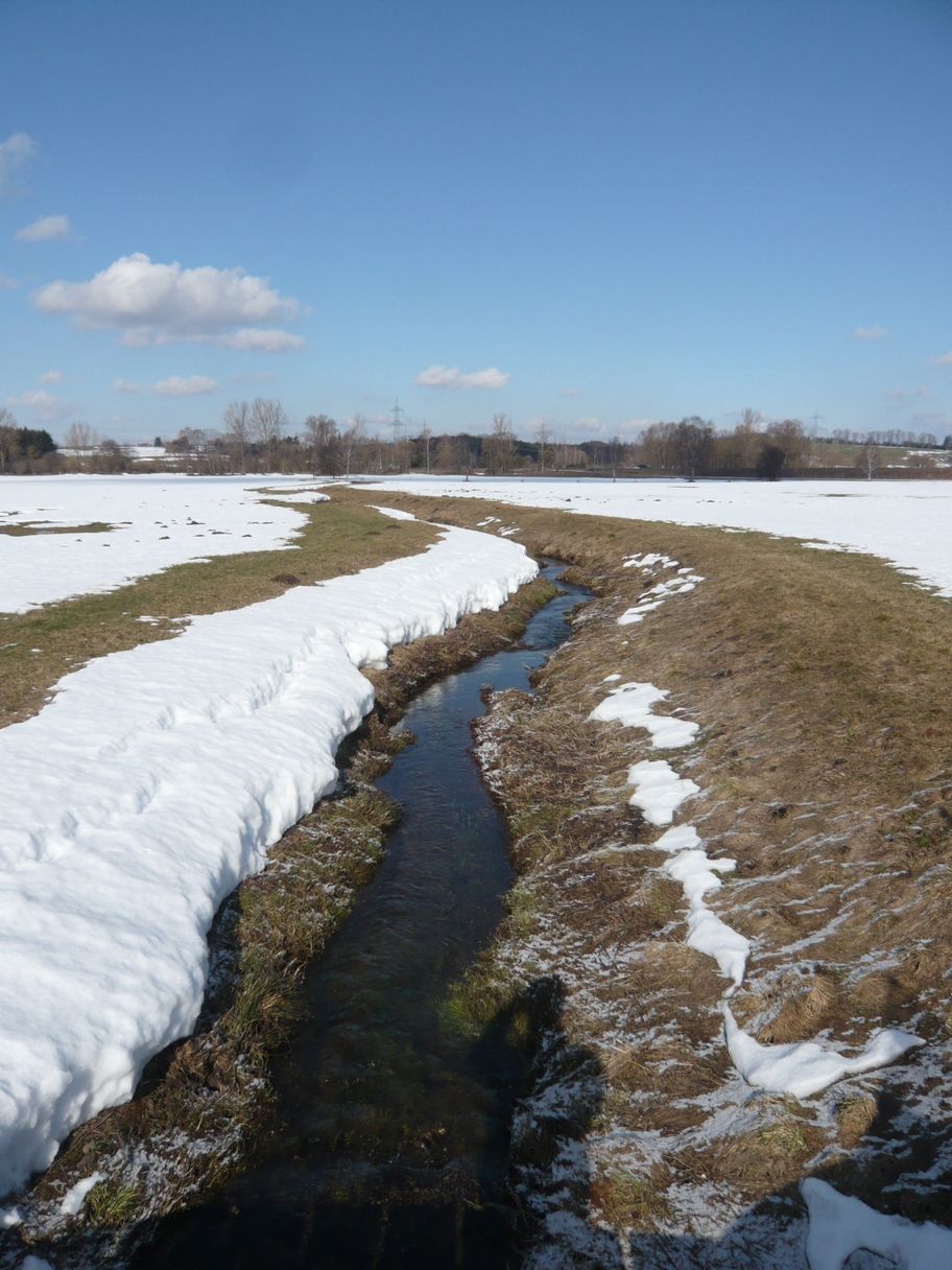 Bach bei Betzigau (1)