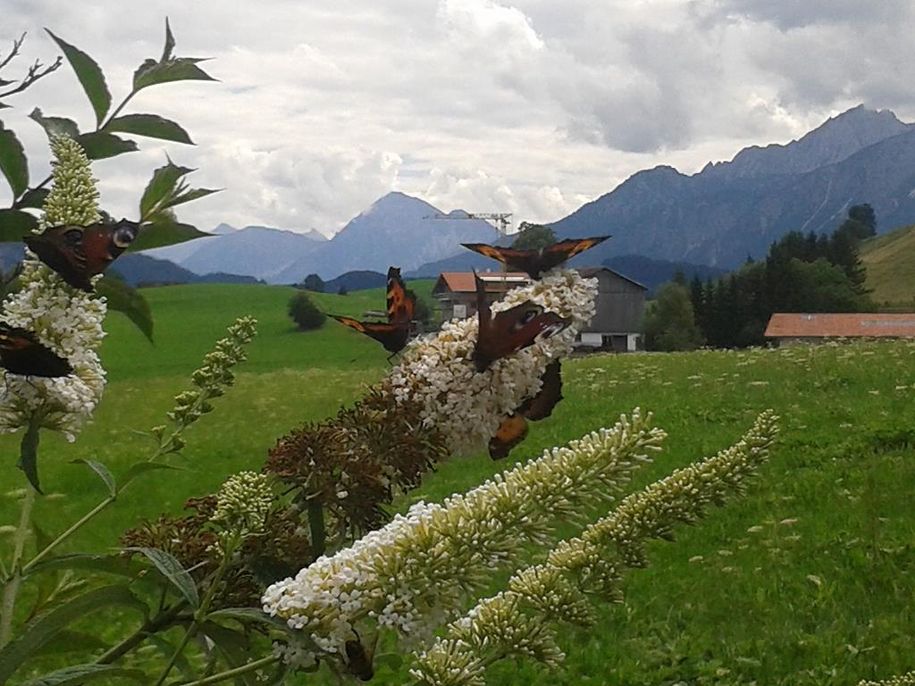 k-20140804_133148