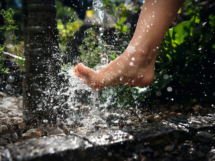 alpenwellnessallgufemitwasserkurparkfischensommer2014allgugmbhmarcoederccbysade3.0