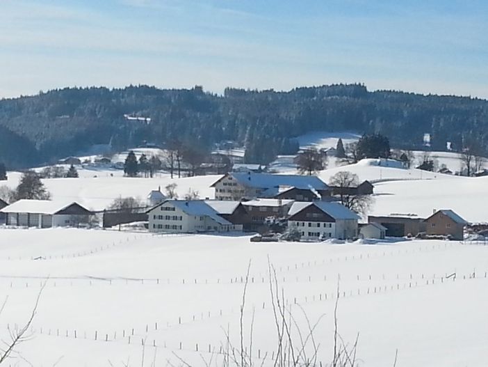 winter2