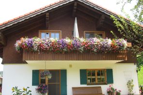 Balkon der Ferienwohnung
