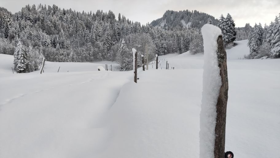 Georunde Rindberg Sibratsgfäll mit Schneeschuhen