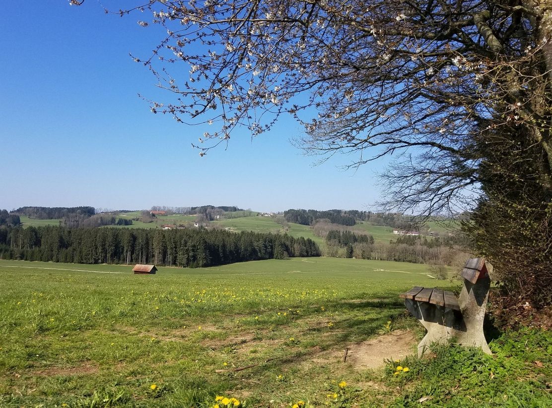 Aussichtsbänkle bei Grünenberg