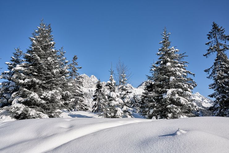 Richtung Krinnenalpe