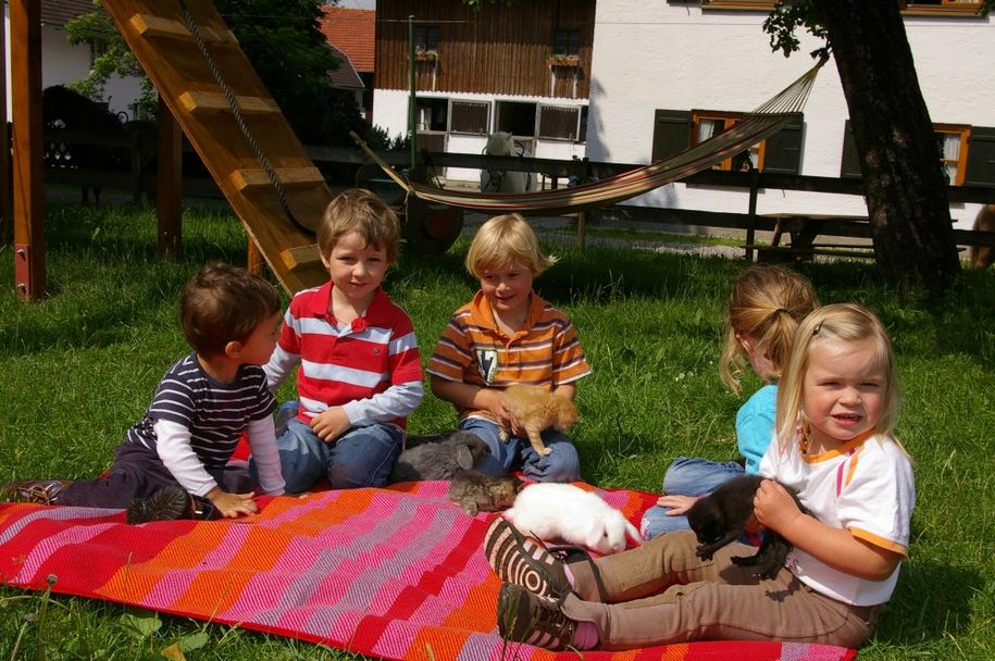 Bei uns werden Ihre Kinder schnell zu Katzenmamas und -Papas