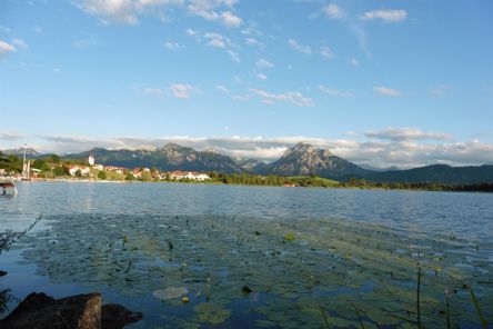 Blick vom See aus