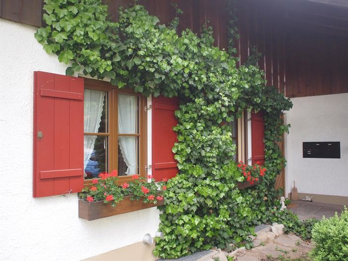 Hausdetail