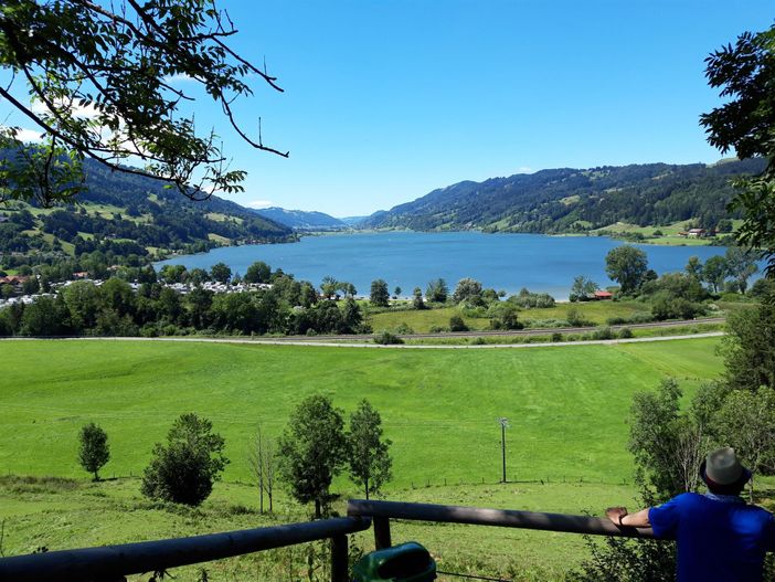 Blick zum Alpsee